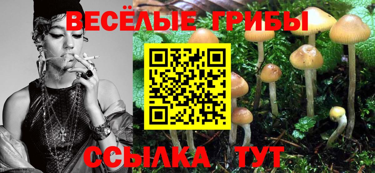 Ленинск-Кузнецкий  Псилоцибиновые грибы Psilocybe  Вход с VPN 