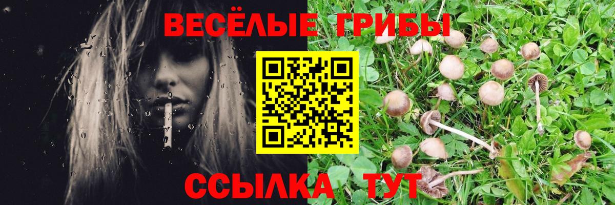 Псилоцибиновые грибы мухоморы Ленинск-Кузнецкий